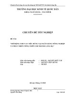 “MỞ RỘNG CHO VAY TIÊU DÙNG TẠI NGÂN HÀNG NÔNG NGHIỆP VÀ PHÁT TRIỂN NÔNG THÔN CHI NHÁNH LÁNG HẠ”
