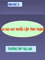 BAI : LAI  2 TINH