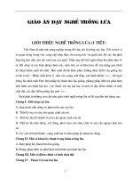 Giáo án NGHỀ TRÔNG F LÚA 2008-2009