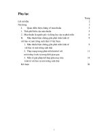 Mâu thuẫn giữa phát triển kinh tế với bảo vệ Môi trường sinh thái 