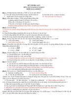 Đề thi 10 chuẩn HKI