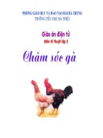 Bài giảng thi TP