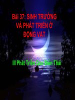 bai 37 Sinh truong va phat trien o DV