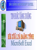 BÀI GIẢNG EXCEL