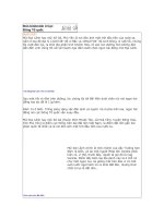 Cực đông đất nước