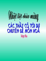 giáo án hoá 8 tiết 19