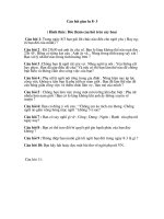 Câu hỏi giao lưu 8-3