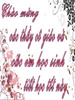 Mảnh trăng cuối rừng