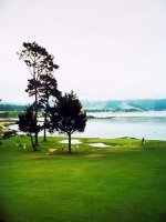 Một số thân Mềm kahsc