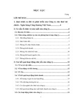 Phương hướng phát triển của công ty cho thuê tài chính NHCT Việt Nam