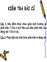 bai 38: các nhan to anh huong den sinh truong va phat trien o dv( 11NC)
