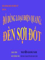 DEN SOI DOT