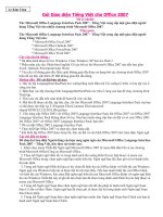 Giao diện Tiếng Việt cho Office 2007