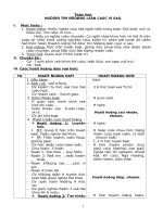 G/A lớp 4 tuần 13