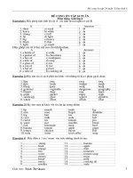 Các dạng bài tập  lớp 6 - HKI