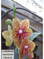 Tiết 44 : GÓCCÓ ĐỈNH Ở BÊN TRONG...