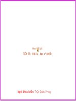 Sự đối lưu-bức xạ nhiệt