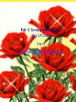 Unit 11: Traveling around Viet Nam