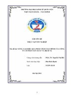 Nâng cao hiệu quả phân tích tài chính của Công ty Cổ phần Sản xuất và Dịch vụ MS