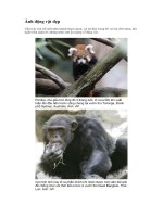 Ảnh động vật đẹp