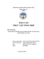 Hoàn thiện công tác thẩm định dự án đầu tư vay vốn  tại chi nhánh Ngân hàng Quốc tế Cầu Giấy