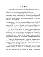 Một số giải pháp nhằm hoàn thiện cơ cấu tổ chức bộ máy quản lý tại Tổng Công ty Vận tải Hà Nội