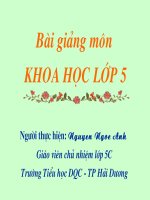 Phòng bệnh viêm não