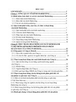 Một số giải pháp nhằm hoàn thiện hệ thống kênh phân phối cho sẩn phẩm xe gắn máy của Công ty.