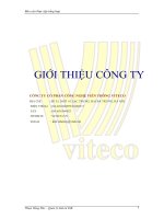 Phân tích hoạt động kinh doanh tại công ty Cổ phần Công nghệ Viễn thông VITECO 