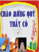 Nỗi thương mình