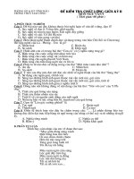 Đề kiểm tra chất lượng giữa kỳ 2 - văn 9