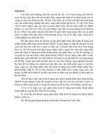 Những giải pháp để phát triển kinh tế hàng hoá Việt Nam