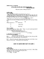 Đề thi khảo sát khối 6 ( 2006 - 2007 )