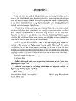 Rủi ro lãi suất và giải pháp nhằm hạn chế rủi ro lãi suất tại các Ngân hàng Thương mại ở Việt Nam