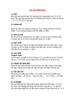 băng reo danh cho TPT Đội