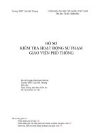HỒ SƠ THANH TRA GIÁO VIÊN