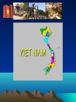 Vietnam Demopowerpoint