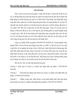 định hướng và giải pháp nhằm phát triển hoạt động kinh doanh của công ty cổ phần xuất nhập khẩu tạp phẩm ( TOCONTAP HANOI)