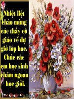 NUOC DAI VIET (GVG cap huyen)