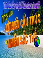 Đột biến cấu trúc NST