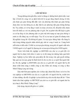 Tình hình triển khai nghiệp vụ BHTNDS của chủ xe cơ giới đối với người thứ ba tại công ty Bảo Minh Thăng Long