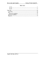 Kế toán tiền lương và các khoản trích theo lương tại Công ty TNHH sản xuất và đầu tư thương mại Nhật Quang