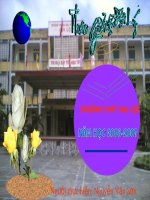 Bài 8 thiên nhiên chiu ảnh hưởng của Biển