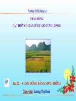 Bài 20. Vùng ĐB sông Hồng