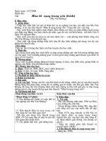 Mùa lá rụng trong vườn