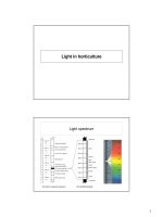 Light in horticulture
