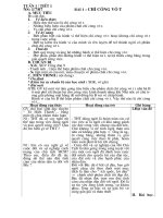 giao an cong dan 9 ki 1