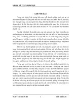 Hoàn thiện kế toán nguyên vật liệu tại công ty cổ phần tư vấn và đầu tư phát triển hạ tầng Mỹ Đình