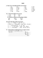 Đề thi Anh Khối 4 (09)