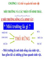 Sinh học 12. Môi trường và các nhân tố sinh thái